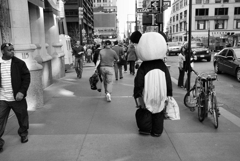 panda