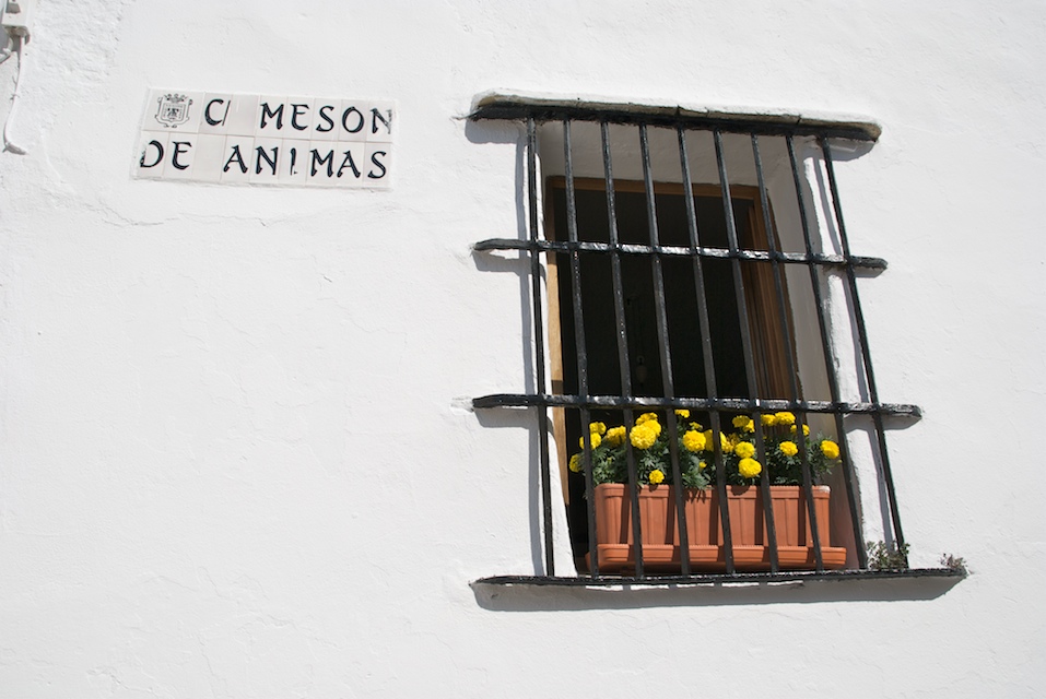 vejer window